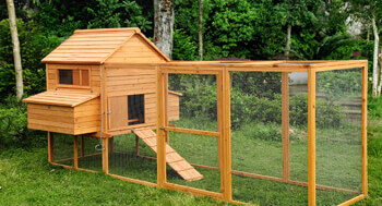 Holz für den Kaninchenstall