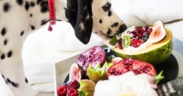 obst oder gemüse füttern