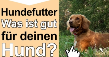 Bild getreidefreies hundefutter