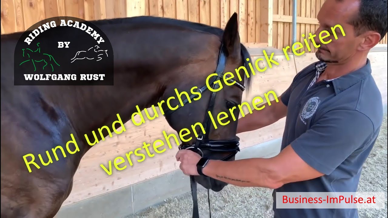 Wie Reitet Man Ein Pferd Durchs Genick